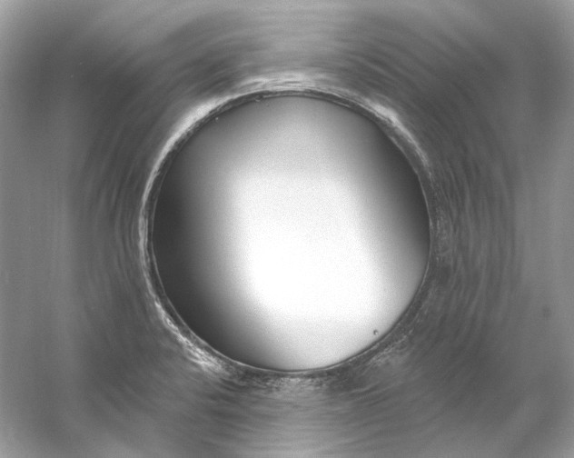 X0000060761424200512011501