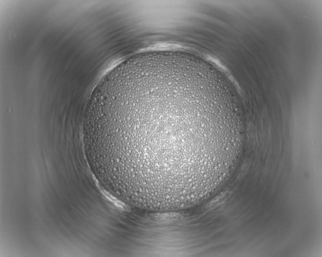 X0000060761425200512011501