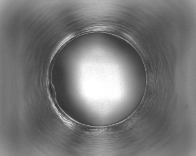 X0000060761426200512011501