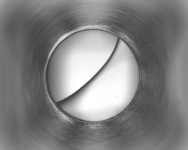 X0000060761428200512011502