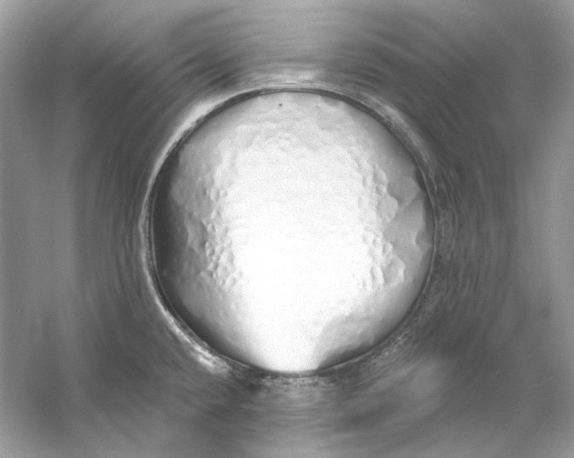 X0000060761432200512011502