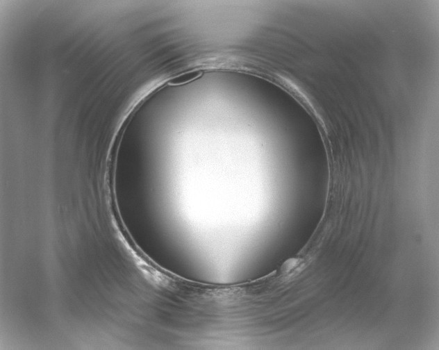 X0000060761434200512011502