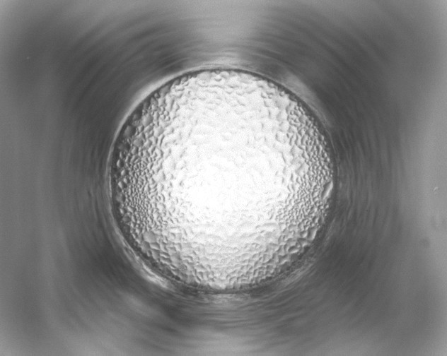 X0000060761436200512011502