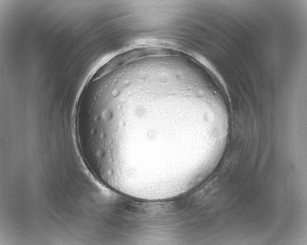 X0000060761437200512011502