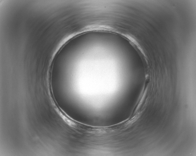 X0000060761438200512011502