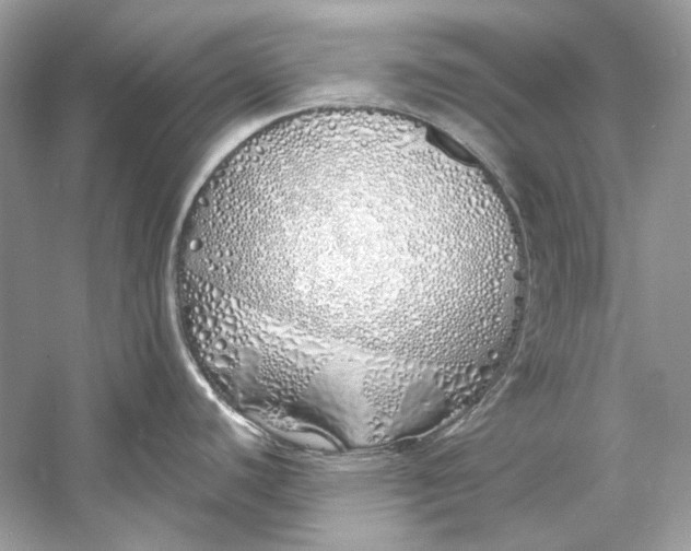 X0000060761440200512011502
