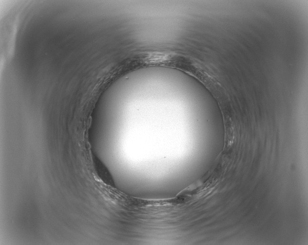 X0000060761441200512011501