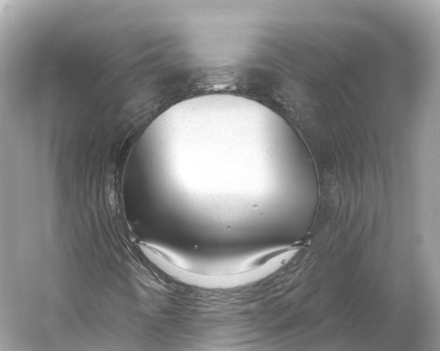 X0000060761442200512011501