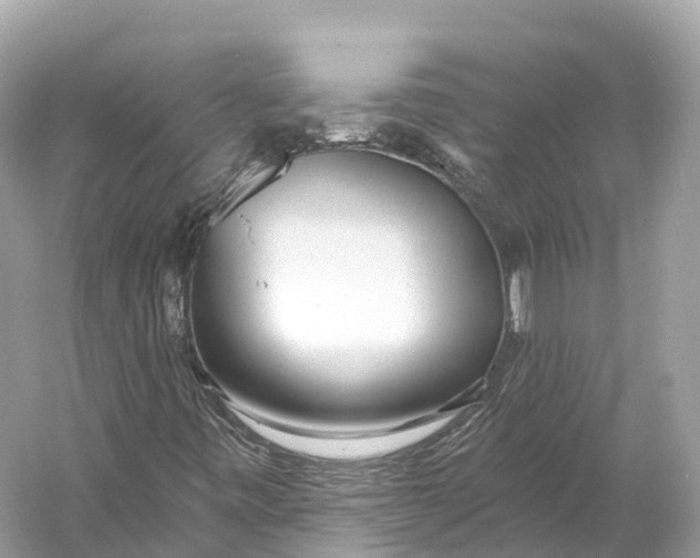 X0000060761443200512011501