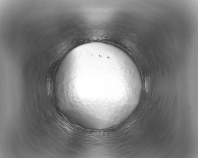 X0000060761444200512011501