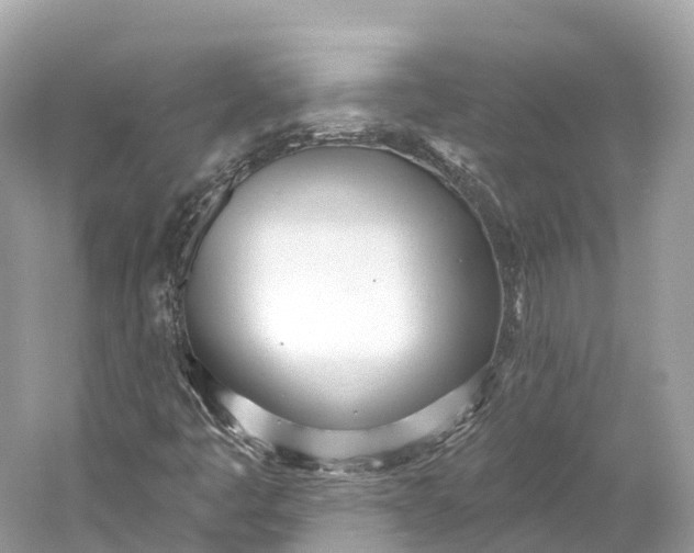 X0000060761445200512011501