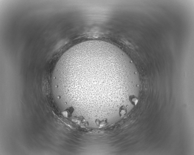 X0000060761446200512011501