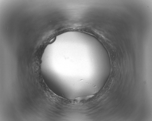 X0000060761447200512011501