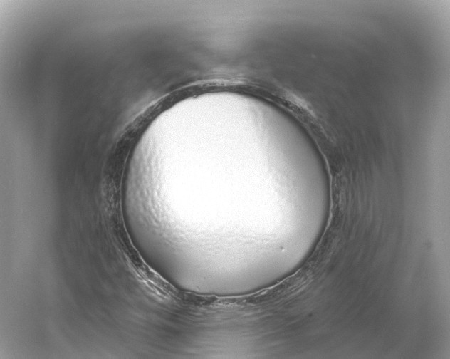 X0000060761448200512011501