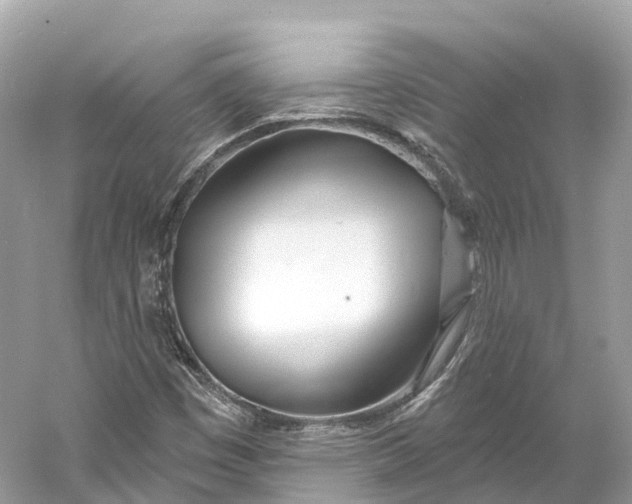 X0000060761449200512011501
