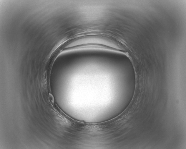 X0000060761450200512011501
