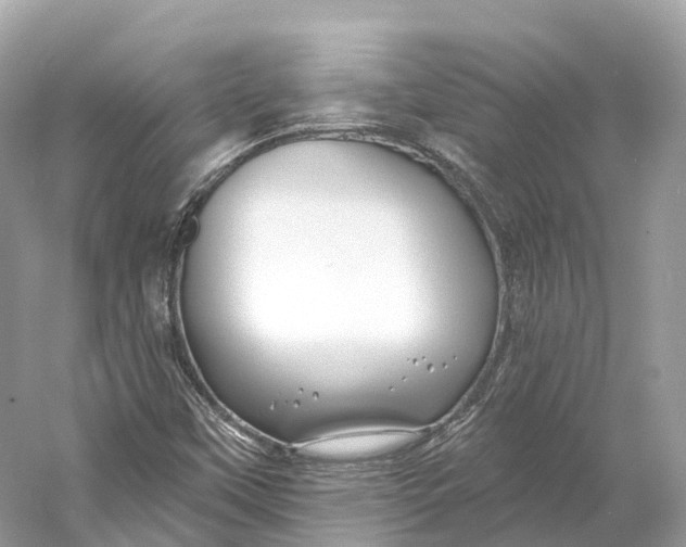 X0000060761451200512011501