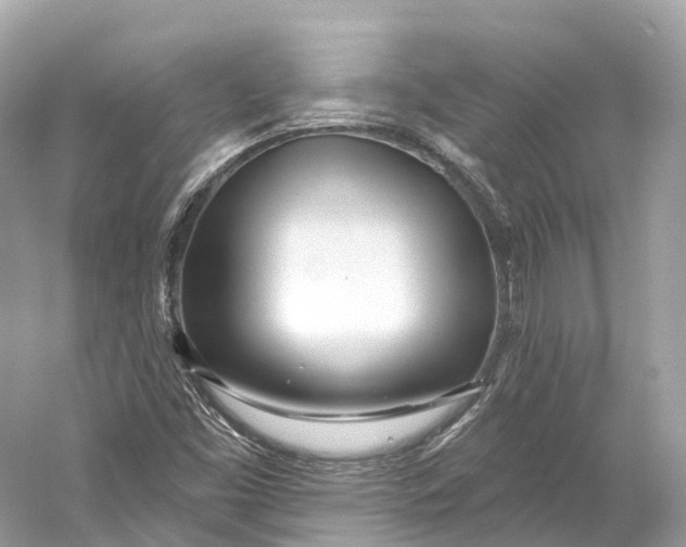 X0000060761453200512011501