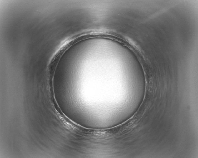 X0000060761456200512011501
