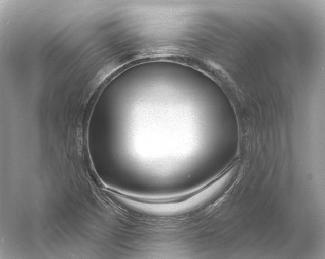 X0000060761457200512011501