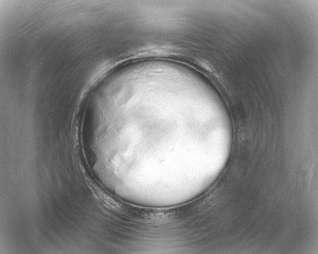 X0000060761459200512011501