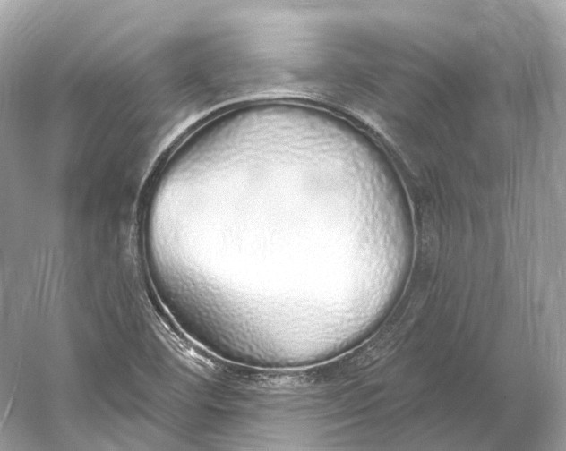 X0000060761460200512011501