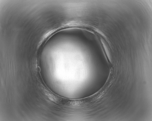 X0000060761461200512011501