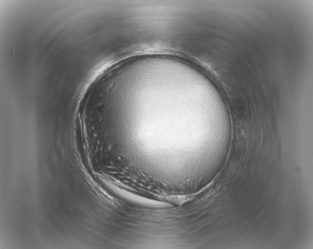 X0000060761463200512011500