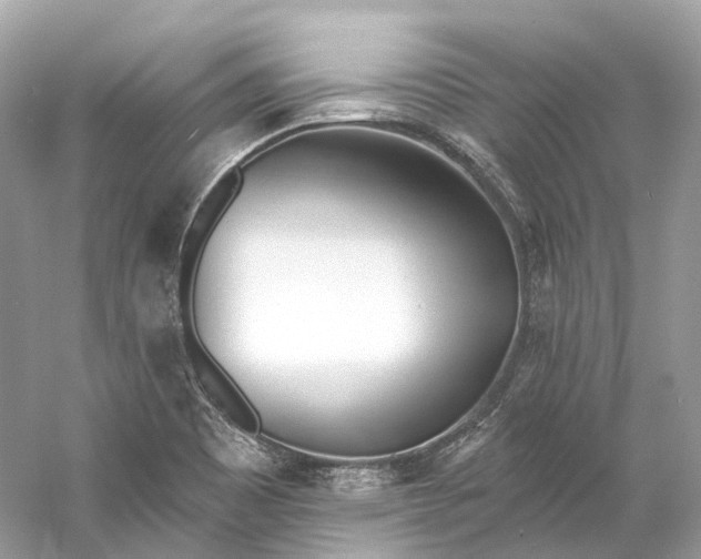 X0000060761465200512011500
