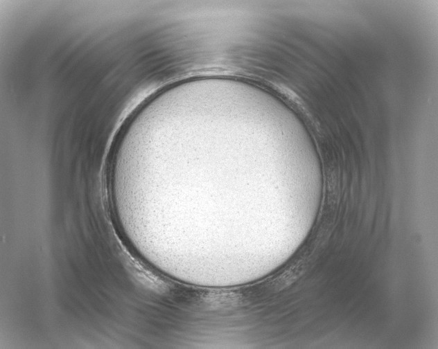 X0000060761466200512011500