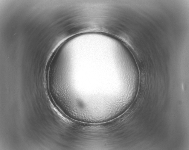 X0000060761468200512011500
