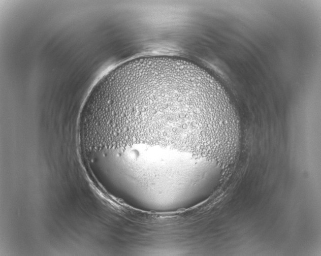 X0000060761471200512011500