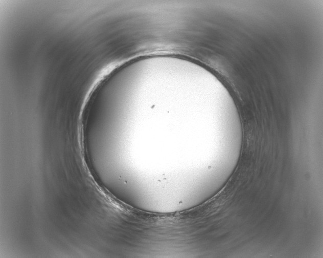 X0000060761472200512011500