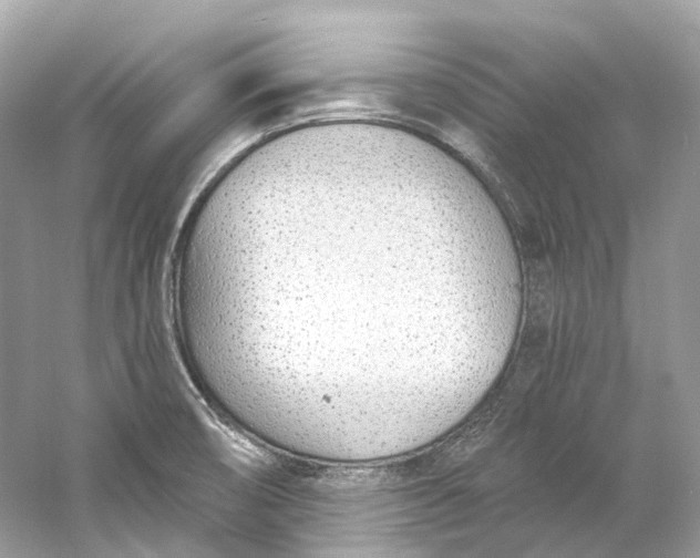 X0000060761474200512011500