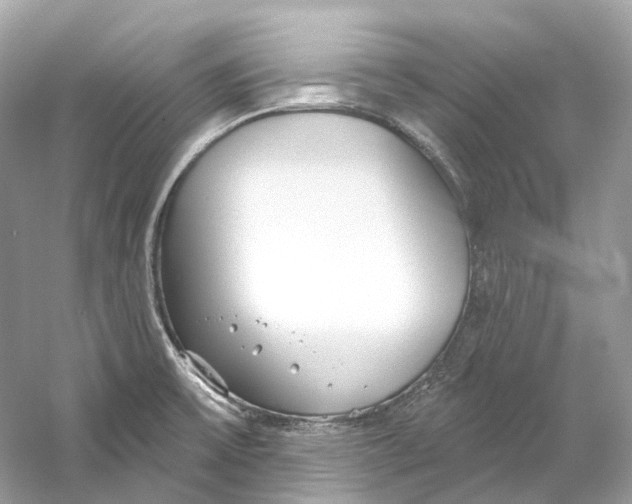 X0000060761475200512011500