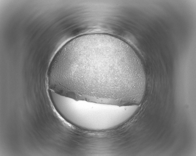 X0000060761476200512011500