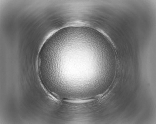 X0000060761477200512011500