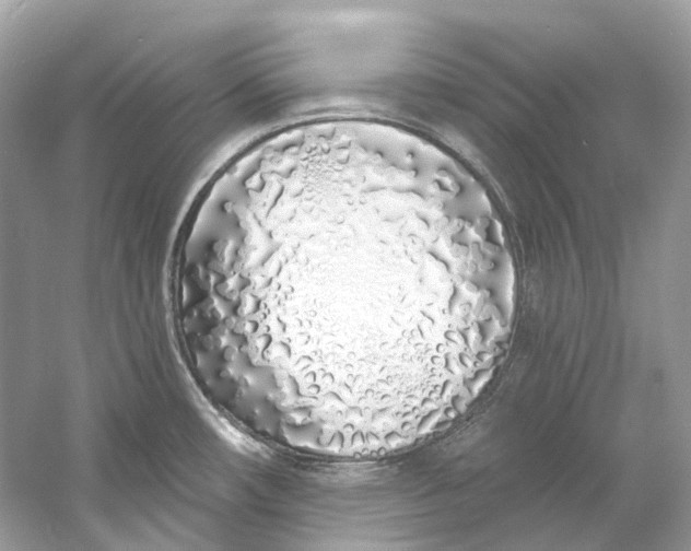 X0000060761482200512011500