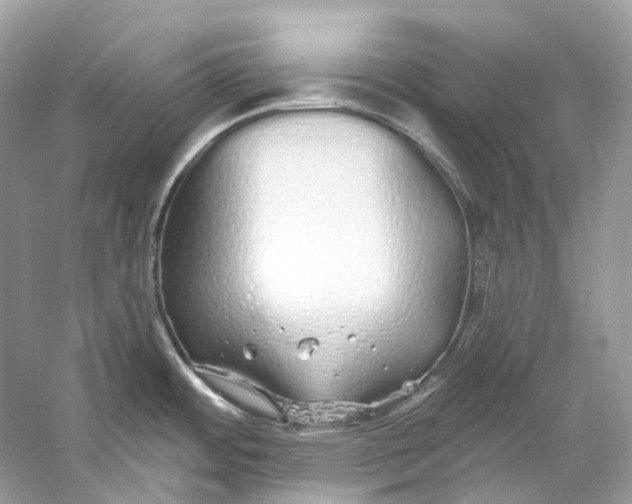 X0000060761484200512011500