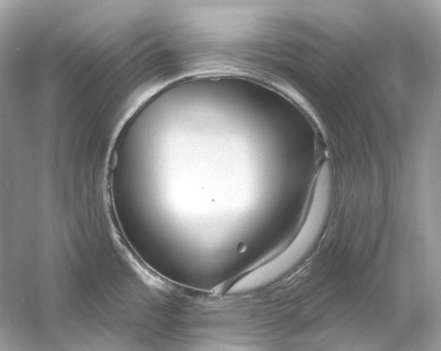 X0000060761485200512011500