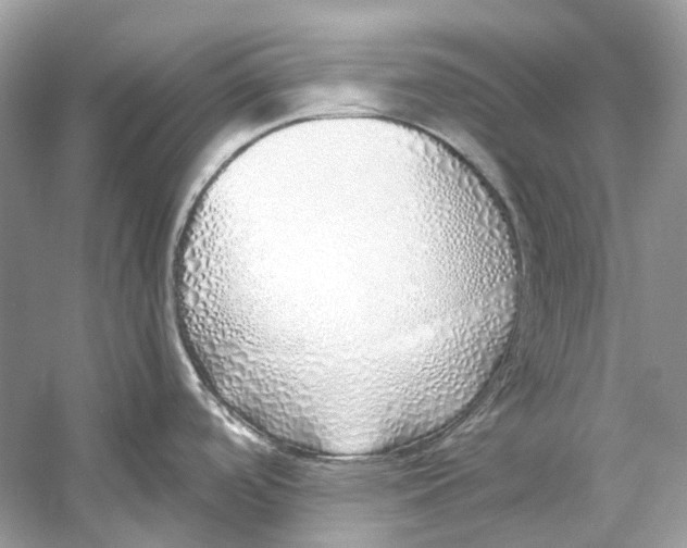 X0000060761488200512011500