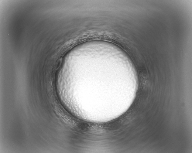 X0000060761489200512011459