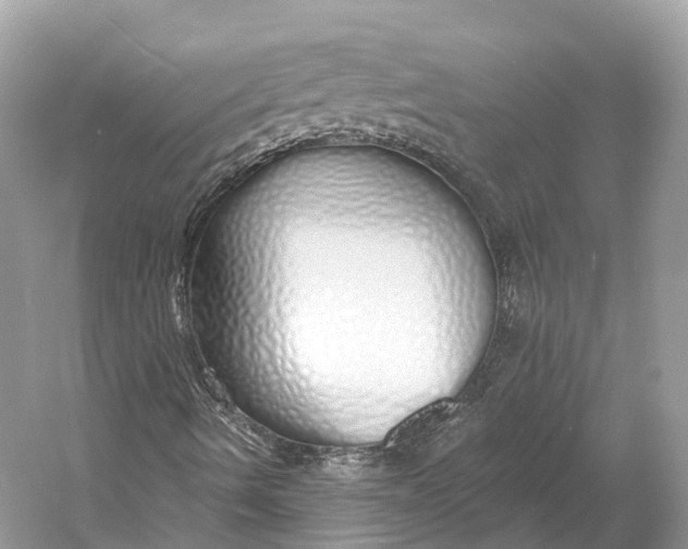 X0000060761490200512011459