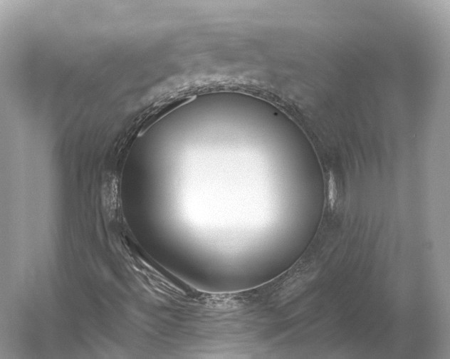 X0000060761492200512011459