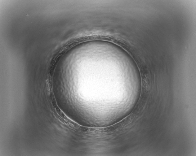 X0000060761493200512011459
