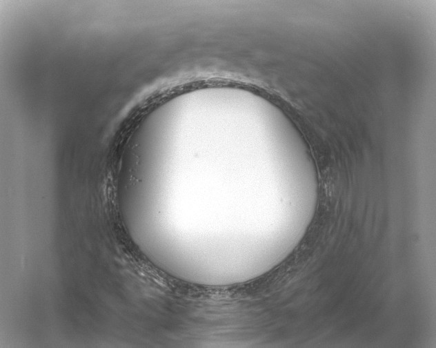 X0000060761495200512011459