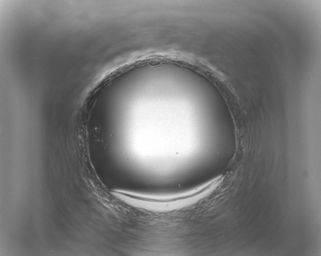 X0000060761496200512011459