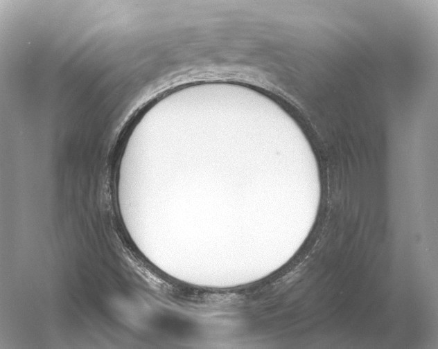 X0000060761498200512011459
