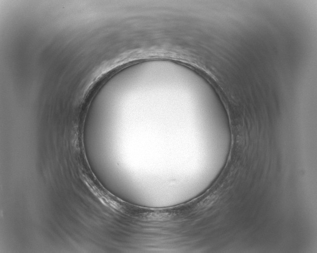 X0000060761499200512011459