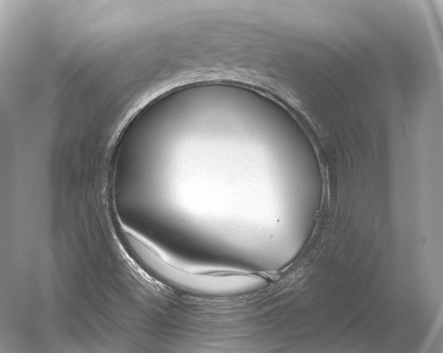 X0000060761500200512011459